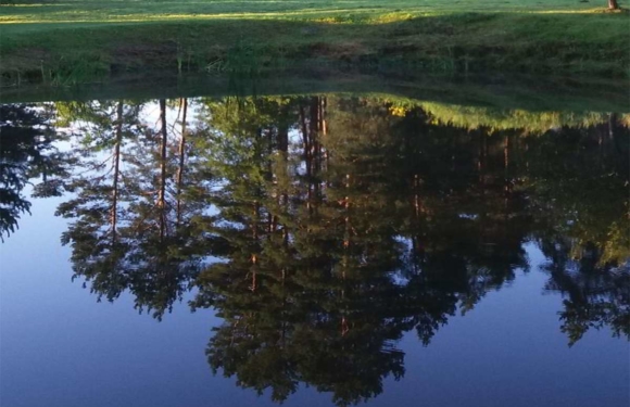 Divu dienu padziļinātā programma”Veselums”