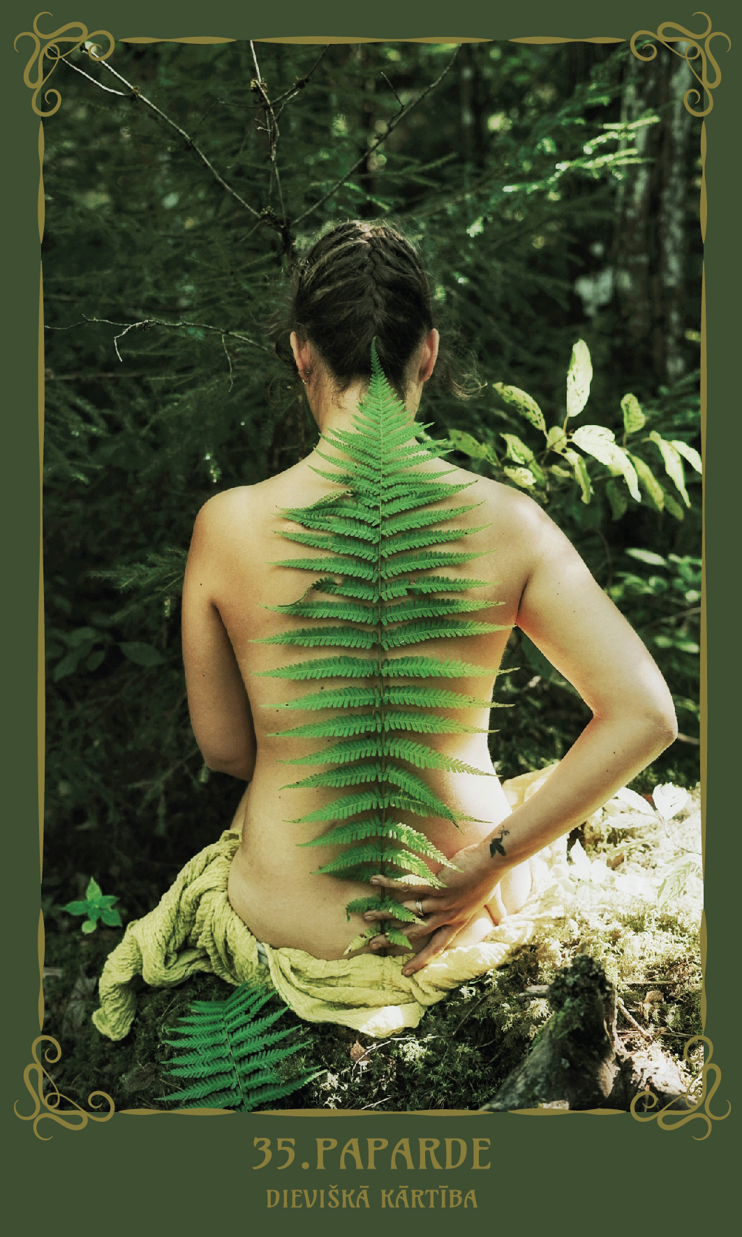 35.Paparde. Dievišķā kārtībā.