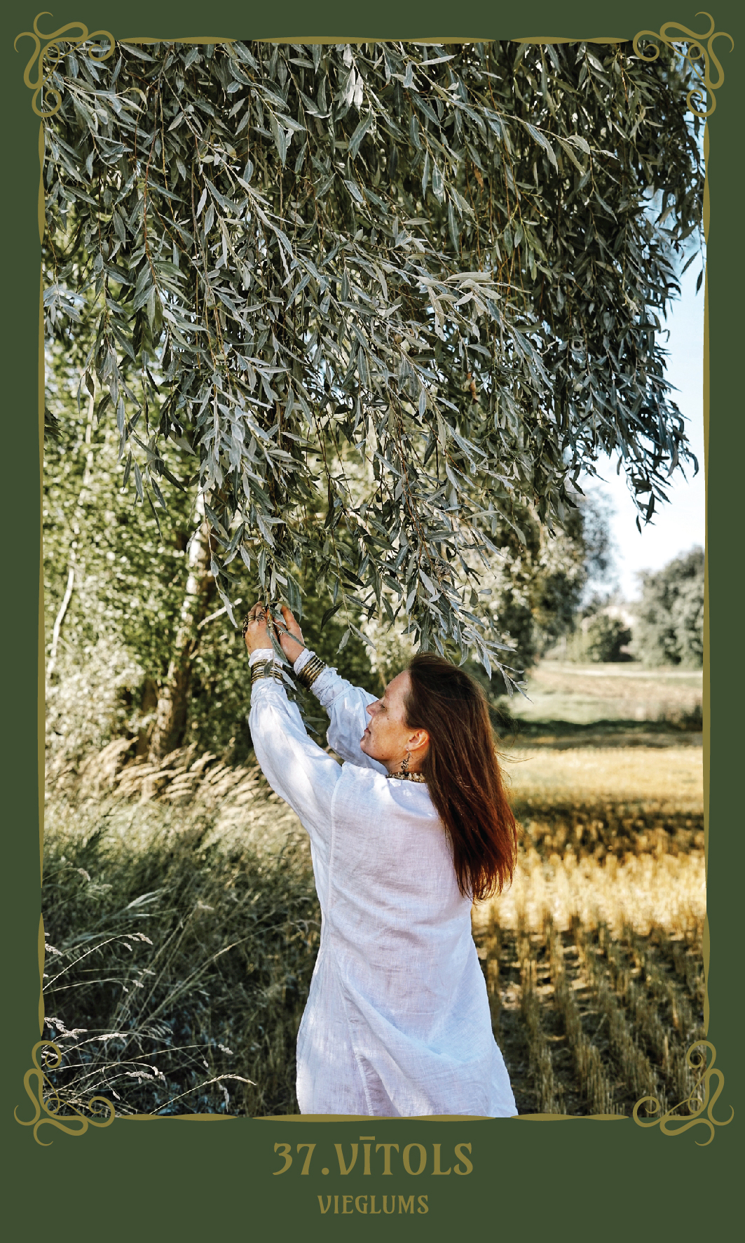 37. Vītols. Vieglums