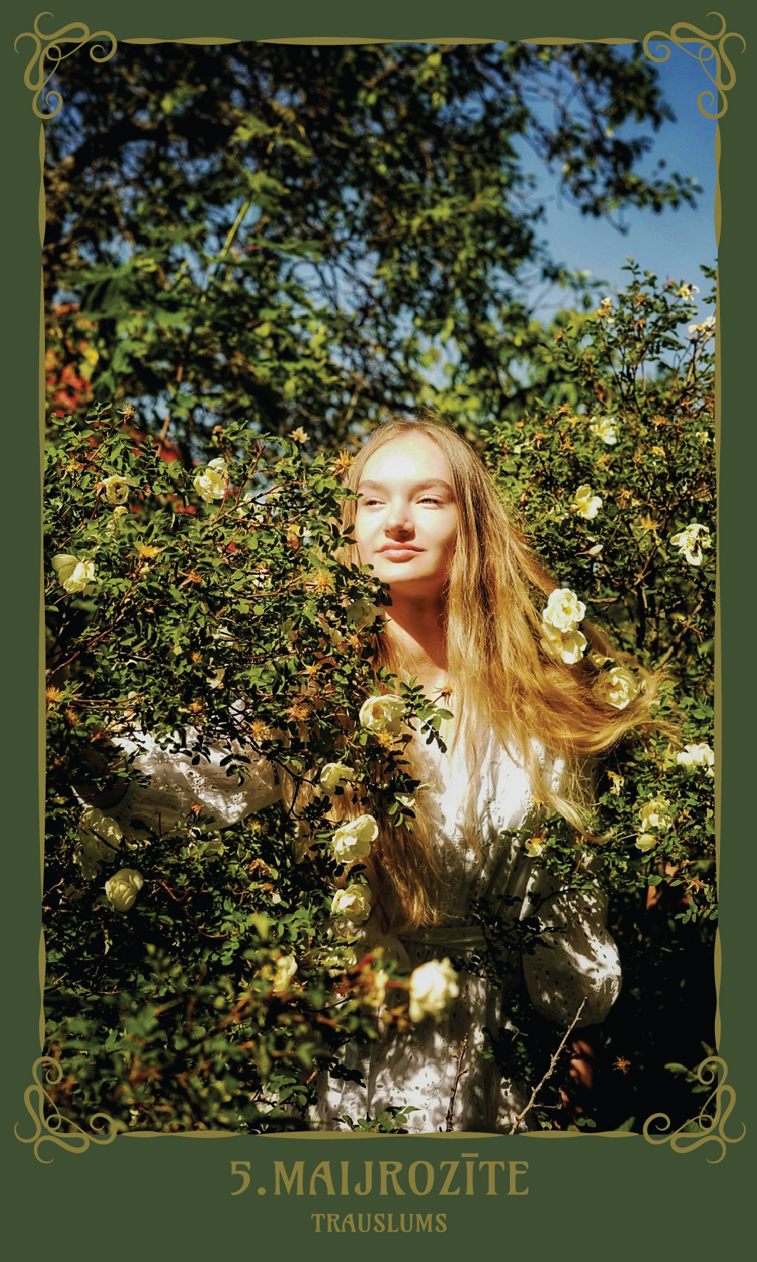 5. Mājrozīte. Trauslums.