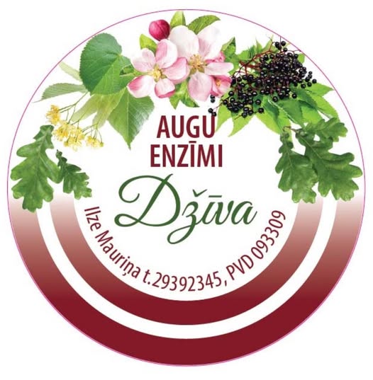 Enzīmi Džīva