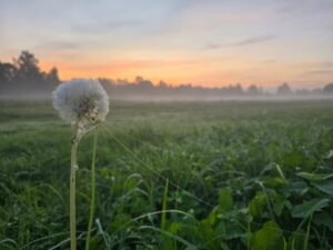 Neirografikas meistarklase-rituāls "Veļu Laika vakarēšana"