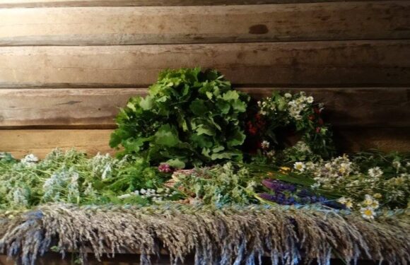 praktisks pirts seminārs “Pāris pirtī” 12. aprīlī