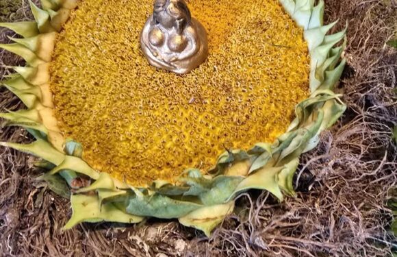 praktisks pirts seminārs “Astroloģija un pirts.Dzimšanas dienas rituāls” 1. maijs plkst. 10:00