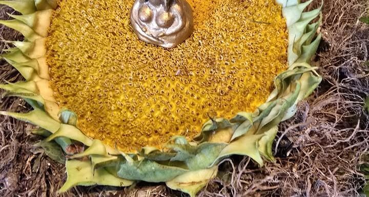 praktisks pirts seminārs “Astroloģija un pirts.Dzimšanas dienas rituāls” 1. maijs plkst. 10:00