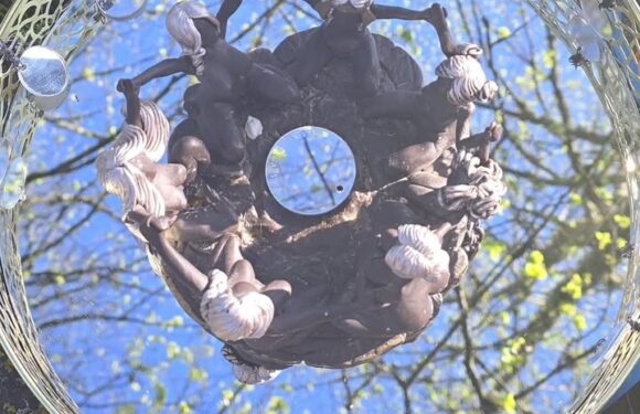 citādas brīvdienas “Sievietes daba. Pavasaris.” 02.maijs pl.10:00 -03.maijs pl.18:00