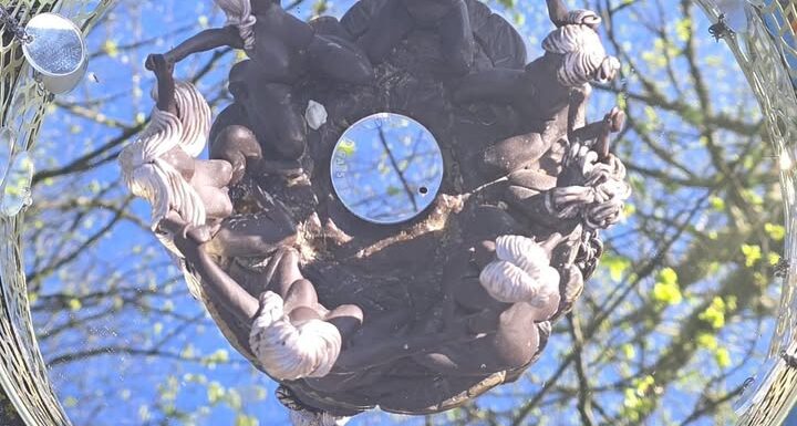 citādas brīvdienas “Sievietes daba. Pavasaris.” 02.maijs pl.10:00 -03.maijs pl.18:00